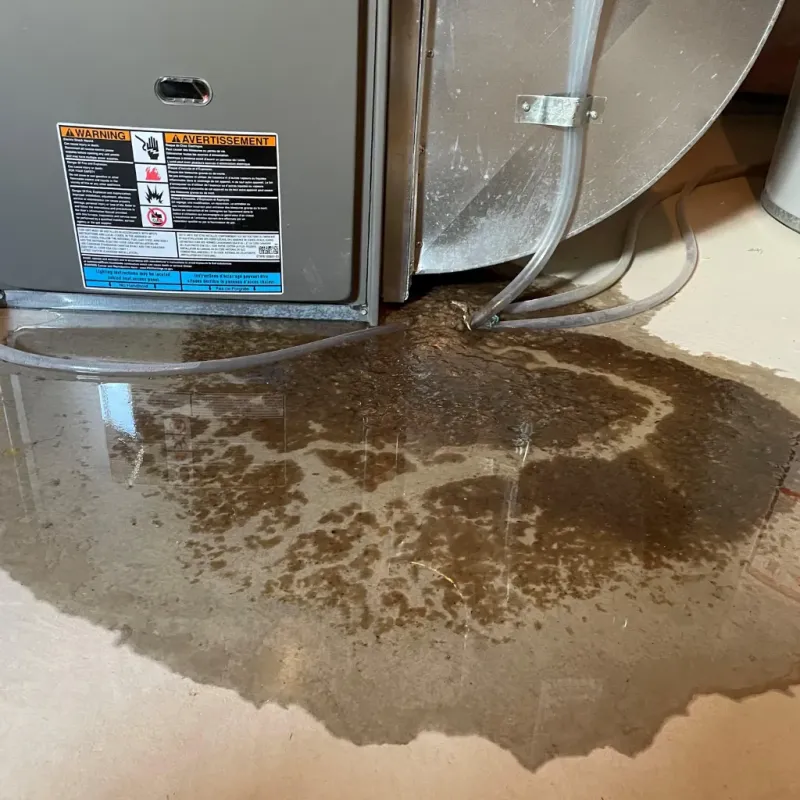 Appliance Leak Cleanup in Palmyra, NJ